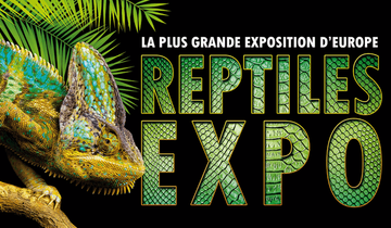 reptiles du monde