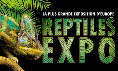 reptiles du monde